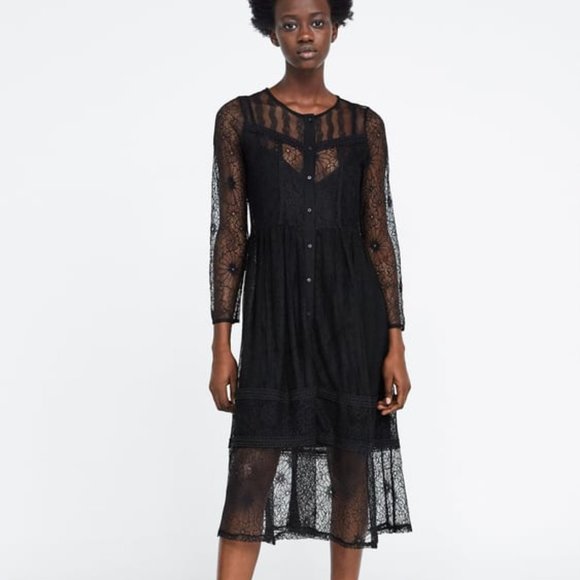 ZARA | Lace Dress - Picture 1 of 2